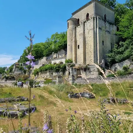 Le Cosy Charmeur Climatisé Avec Patio * Tours