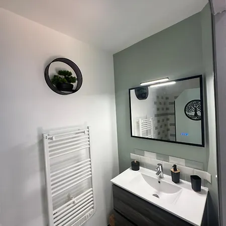 Apartman Le Cosy Charmeur Climatise Avec Patio Tours