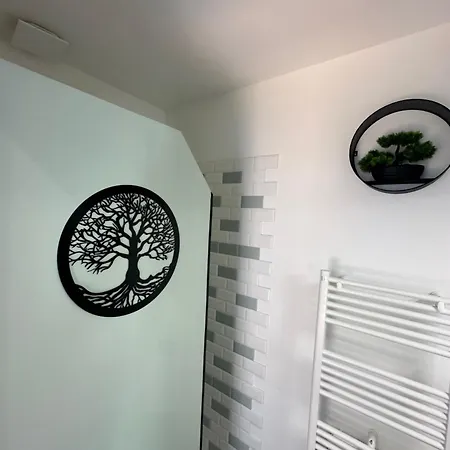 Apartman Le Cosy Charmeur Climatise Avec Patio Tours