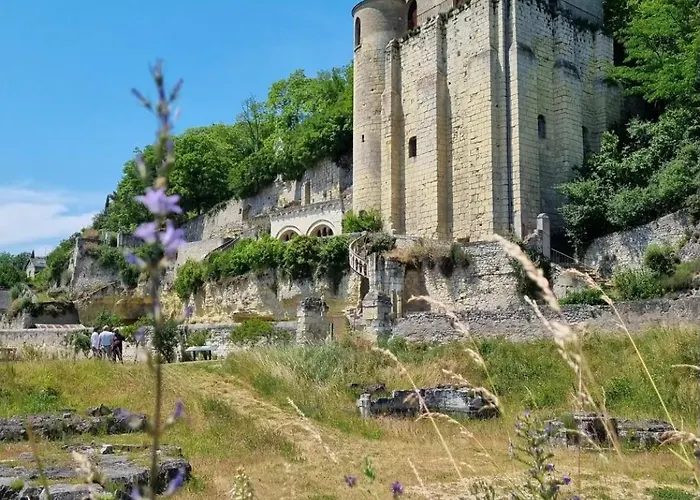 Le Cosy Charmeur Climatise Avec Patio * Tours