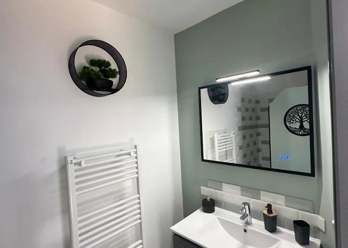 Apartament Le Cosy Charmeur Climatise Avec Patio Tours