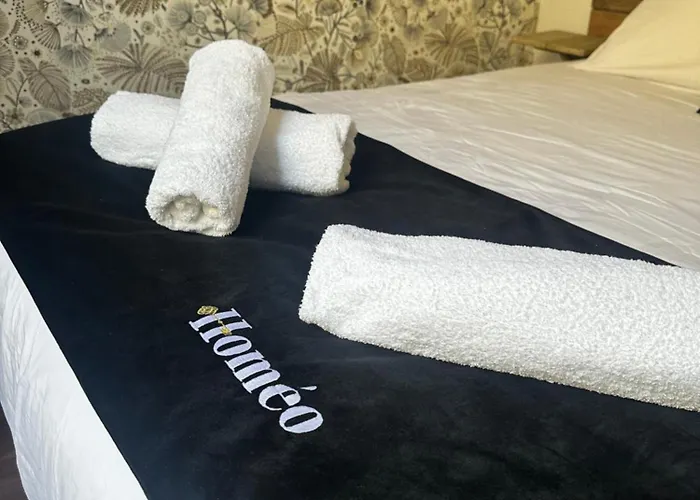 Le Cosy Charmeur Climatise Avec Patio Daire Tours