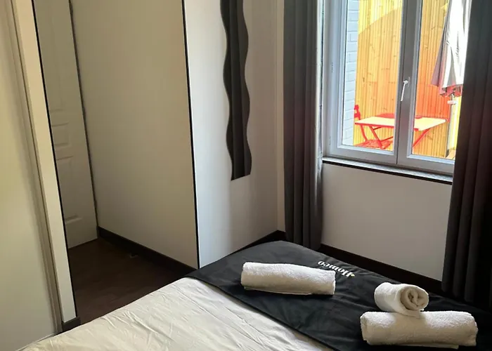 Le Cosy Charmeur Climatise Avec Patio Daire Tours