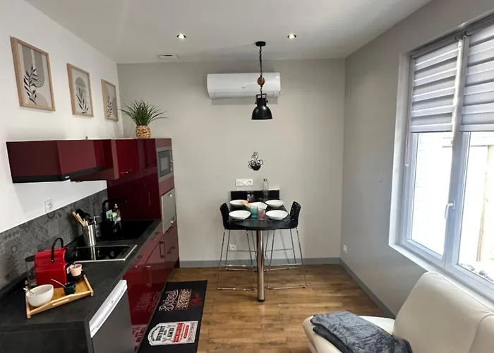 Le Cosy Charmeur Climatise Avec Patio *