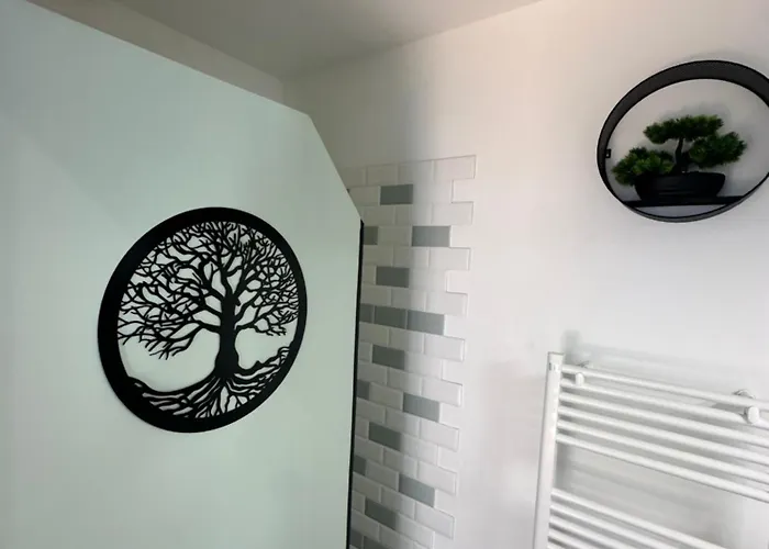 Apartament Le Cosy Charmeur Climatise Avec Patio Tours